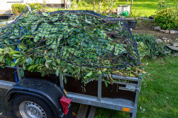 Best Commercial Junk Removal  in Brandon, FL